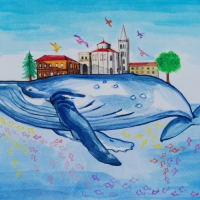 Galebi, ribice, kit i Zadar